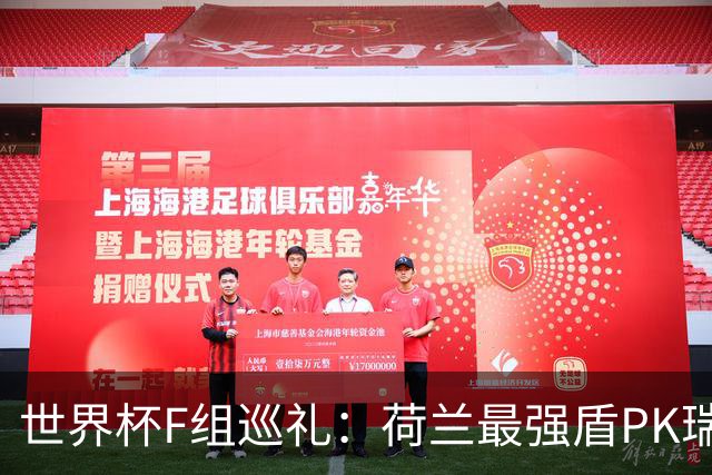 世界杯F组巡礼：荷兰最强盾PK瑞典犀利刀 日本短板明显